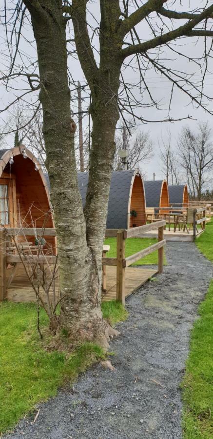 Glamping At Treegrove Hotel Kilkenny Exterior photo